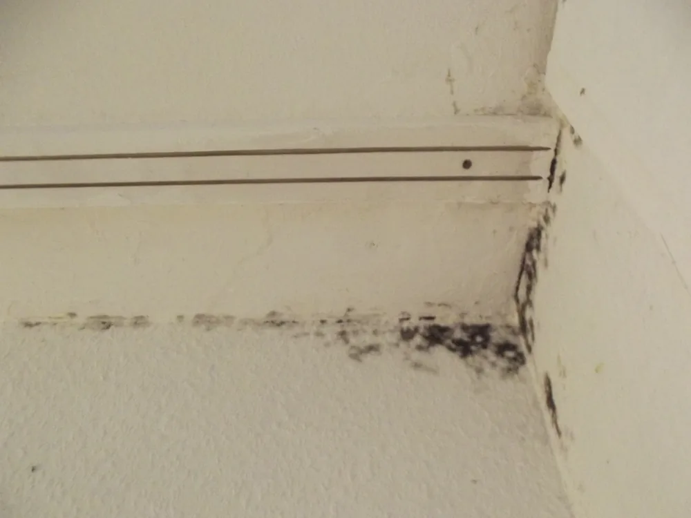 Technician in protective gear removing a mold-damaged wall in an East Taunton home